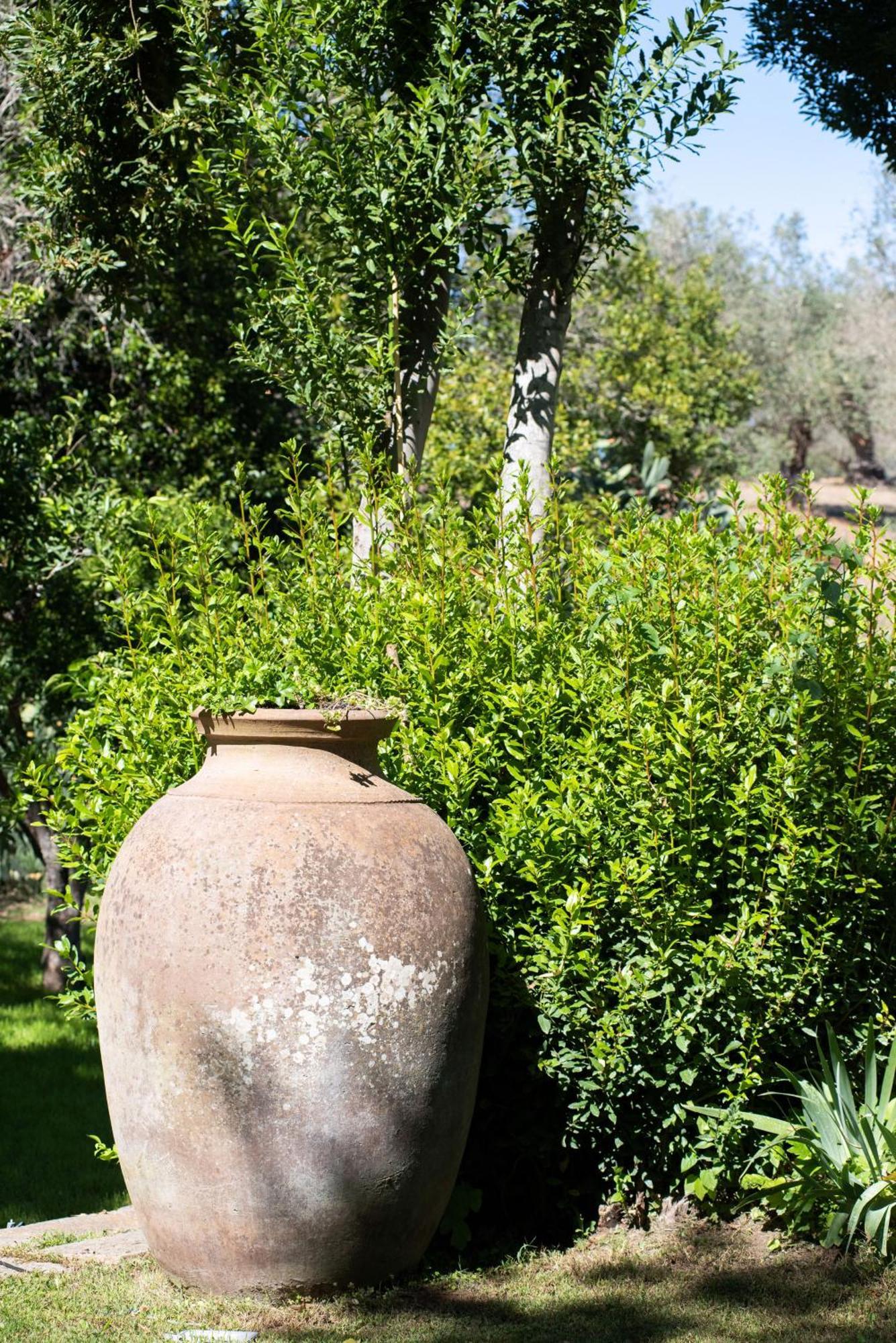 Monte Dos Pensamentos - Turismo Rural Estremoz Extérieur photo
