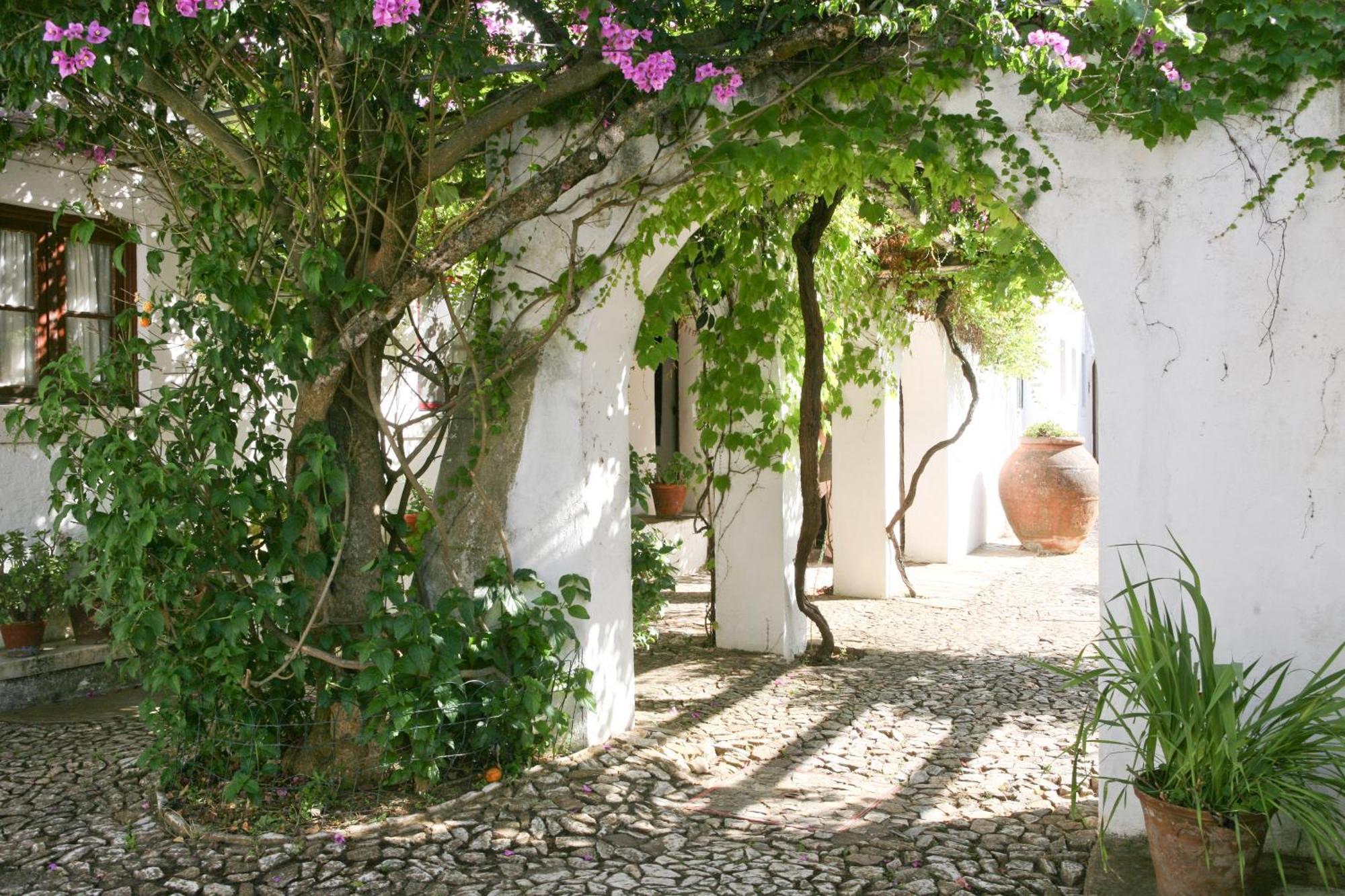 Monte Dos Pensamentos - Turismo Rural Estremoz Extérieur photo